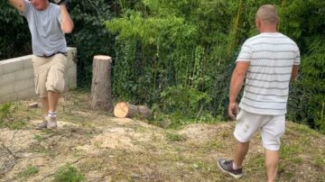 Dessouchage avec une rogneuse de souches