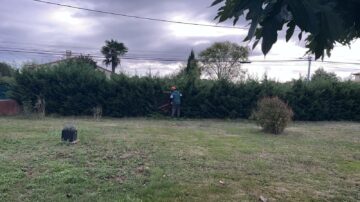 Entretien de la pelouse et du jardin