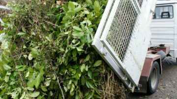 Location de benne pour vos déchets verts