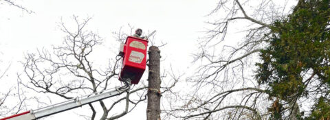 Meilleur ouvrier de france